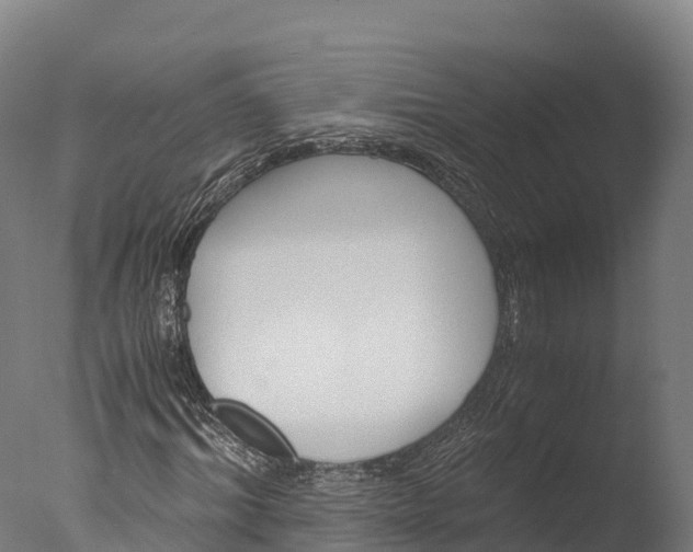 X0000076430964200610161148