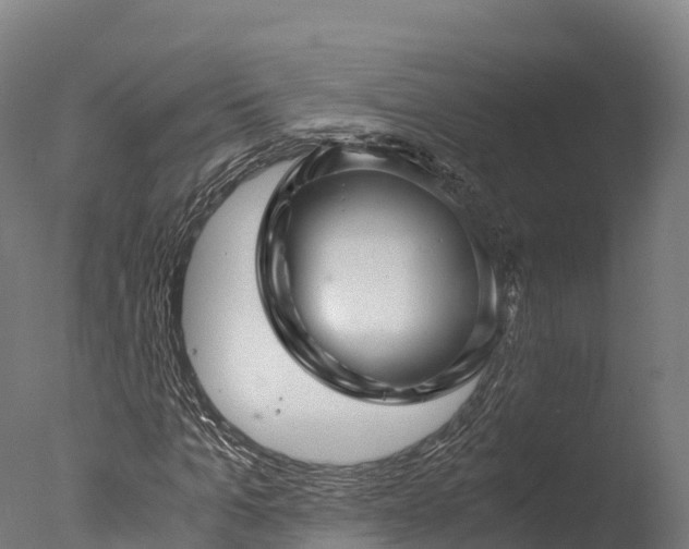 X0000076430965200610161148