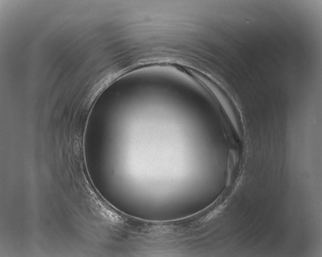 X0000076430993200610161148