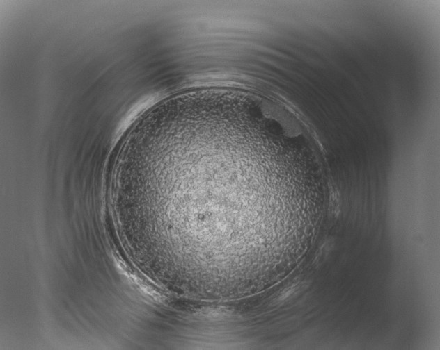 X0000076430994200610161148