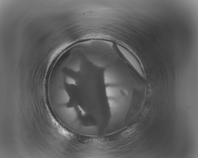 X0000076430995200610161148