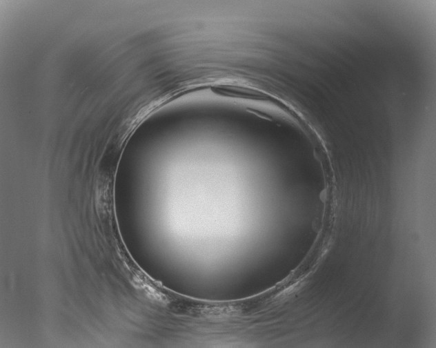 X0000076431001200610161148