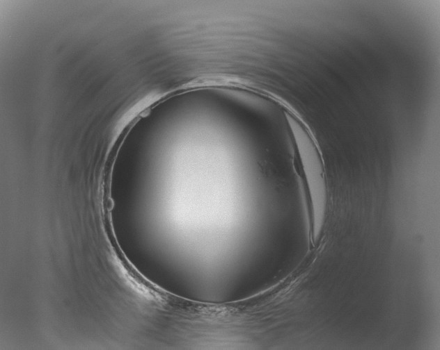 X0000076431003200610161148