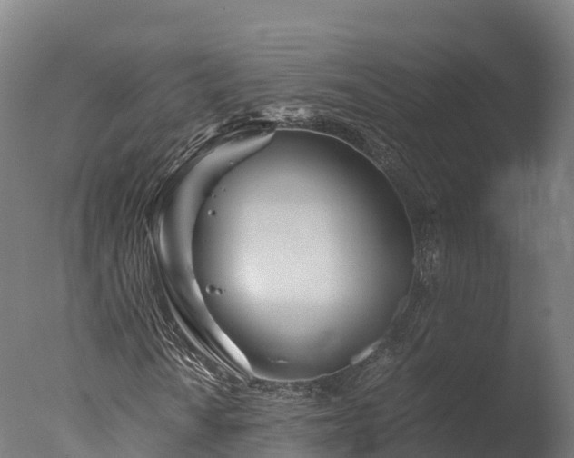 X0000076431010200610161147
