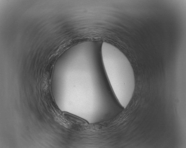 X0000076431012200610161147