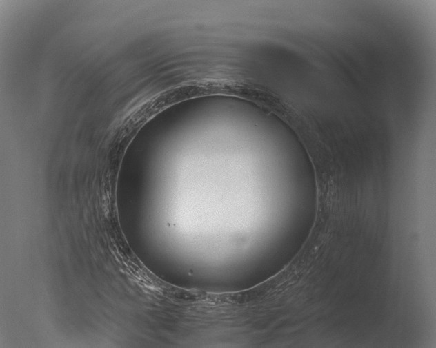 X0000076431015200610161147