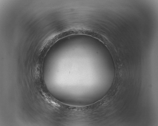 X0000076431016200610161147