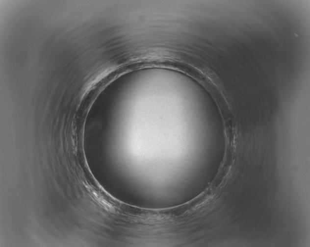 X0000076431018200610161147