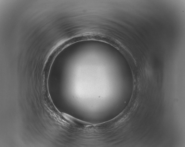 X0000076431021200610161147