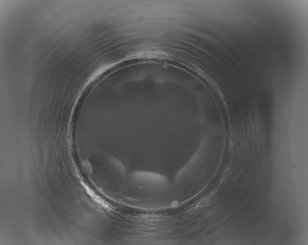 X0000076431037200610161147