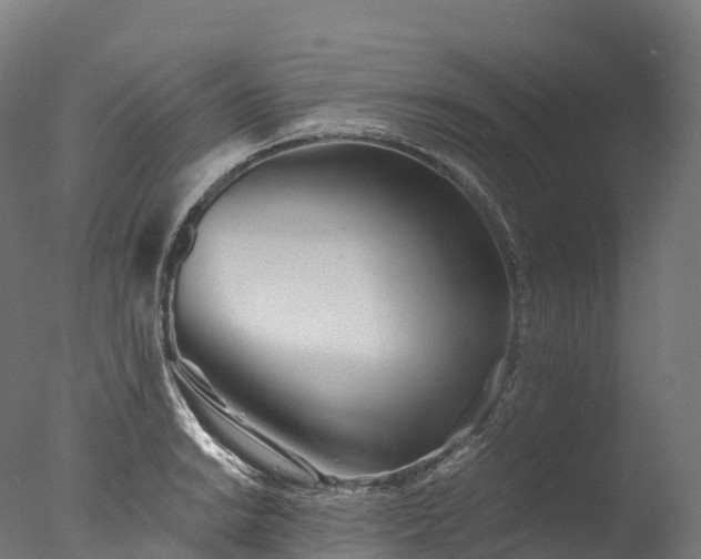 X0000076431038200610161147