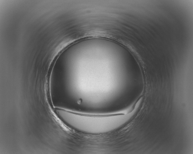 X0000076431040200610161147