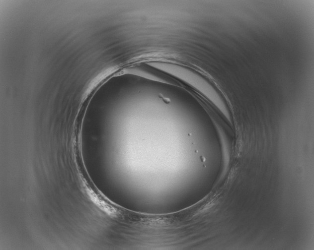 X0000076431042200610161147