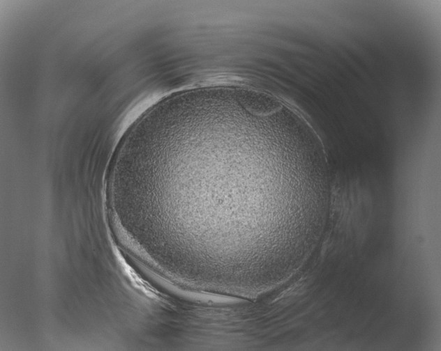 X0000076431047200610161147