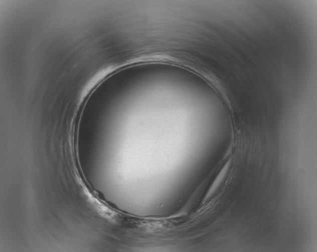 X0000076431054200610161147