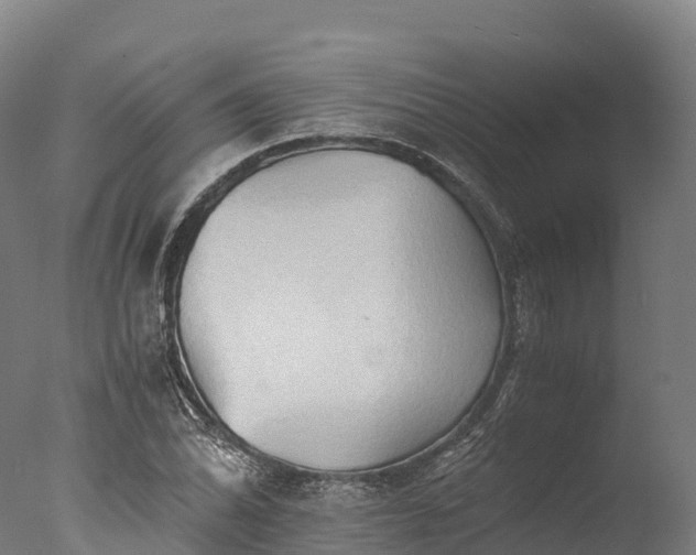X0000076431070200610161146
