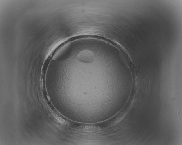 X0000076431077200610161146