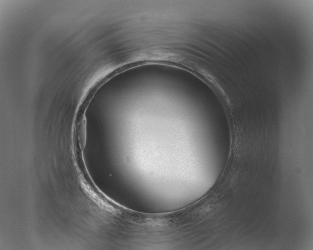 X0000076431080200610161146
