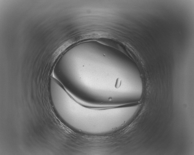 X0000076431081200610161146