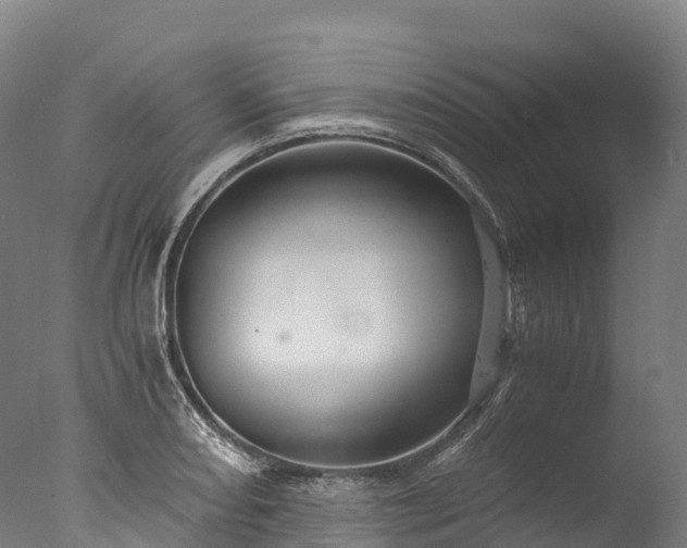 X0000076431082200610161146