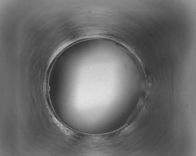X0000076431101200610161146
