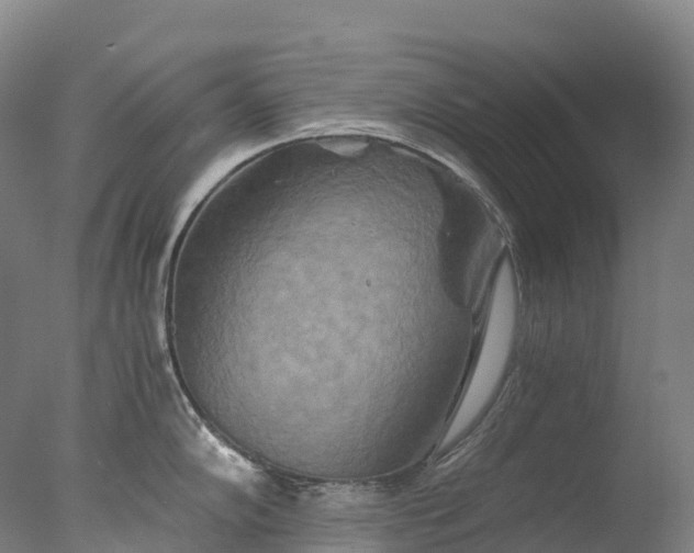 X0000076431102200610161146