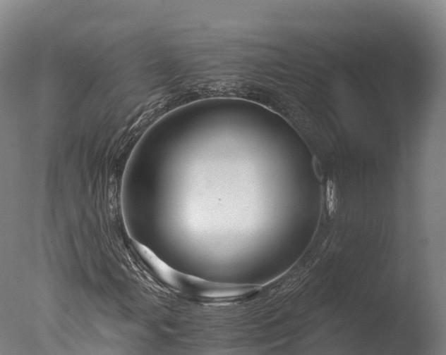 X0000076431107200610161145