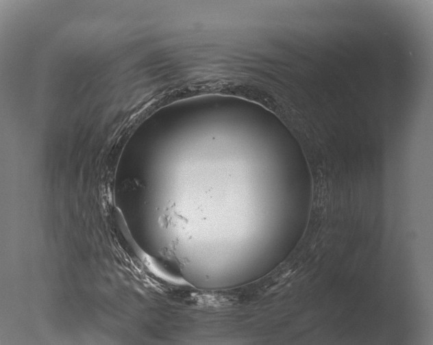 X0000076431109200610161145