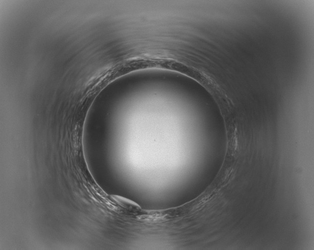 X0000076431110200610161145