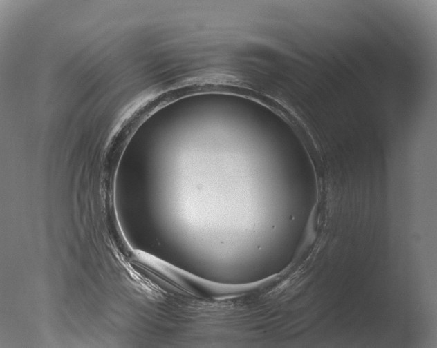 X0000076431115200610161145