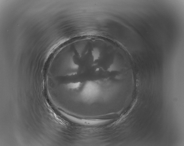 X0000076431117200610161145