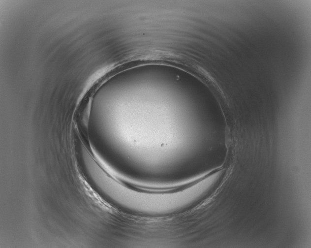 X0000076431122200610161145