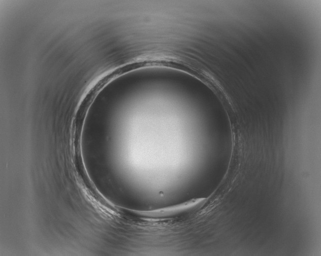 X0000076431124200610161145