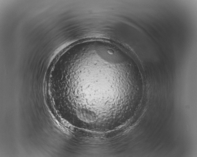 X0000076431125200610161145