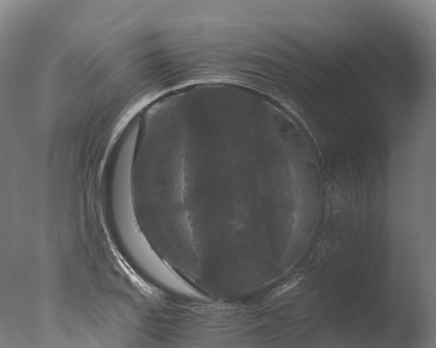 X0000076431127200610161145