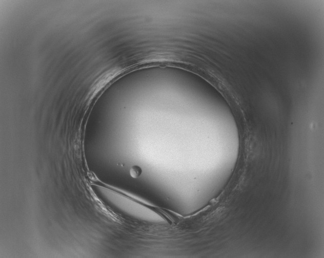 X0000076431129200610161145