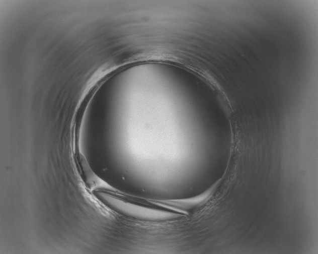 X0000076431132200610161146