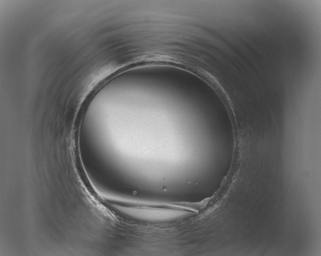 X0000076431133200610161146