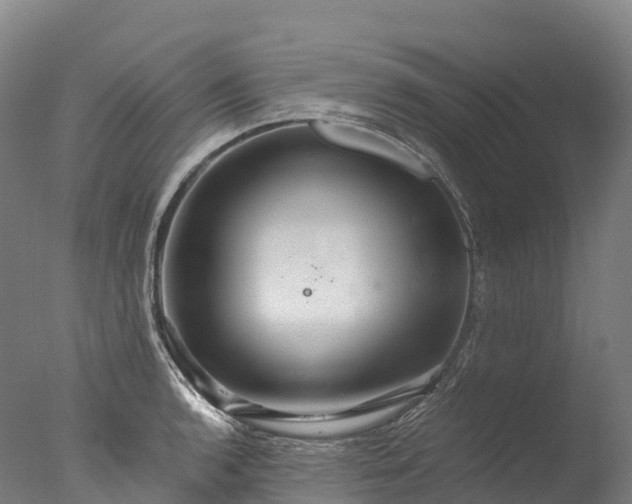 X0000076431136200610161146