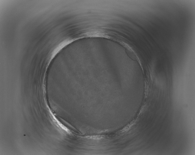 X0000076431141200610161146