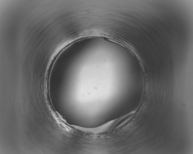 X0000076431144200610161146
