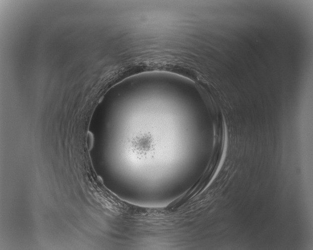 X0000076431153200610161145