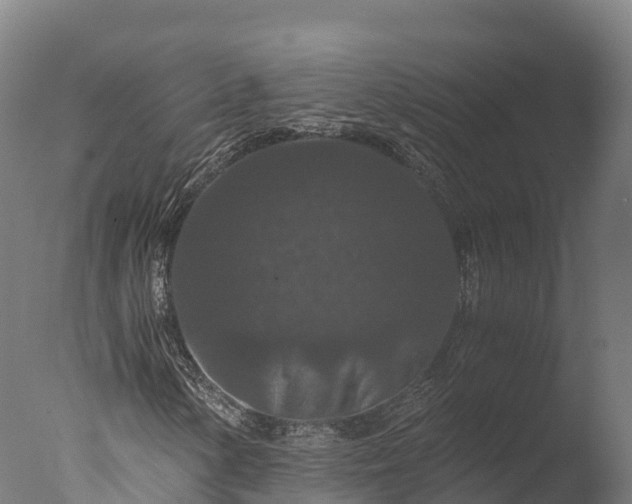 X0000076431154200610161145