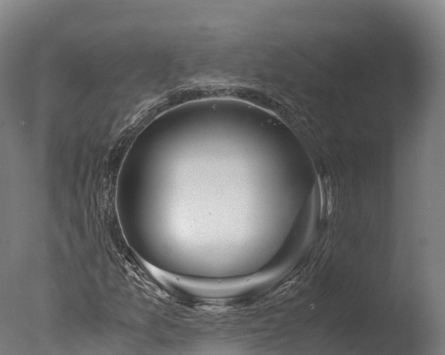 X0000076431157200610161145