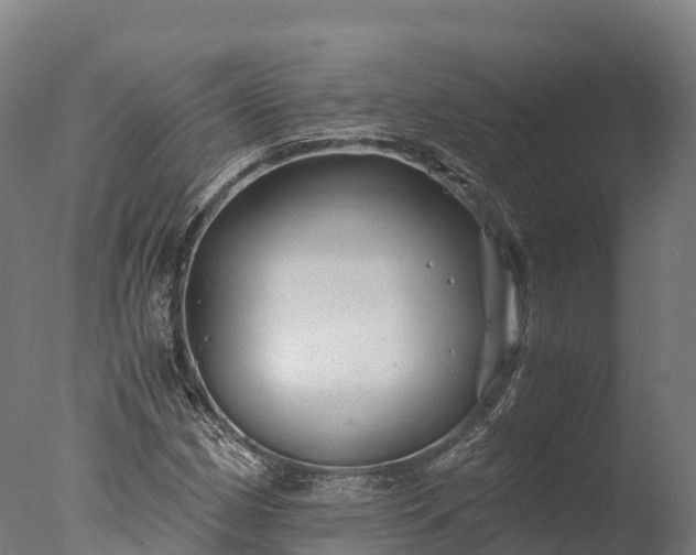 X0000076431162200610161145