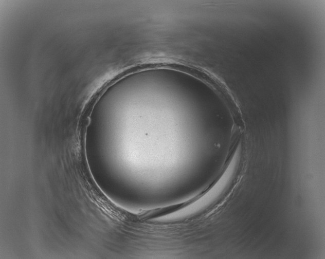 X0000076431167200610161145