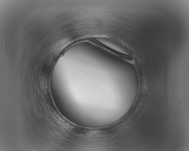 X0000076431169200610161145