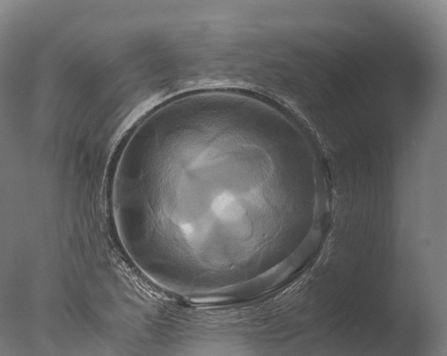 X0000076431173200610161145