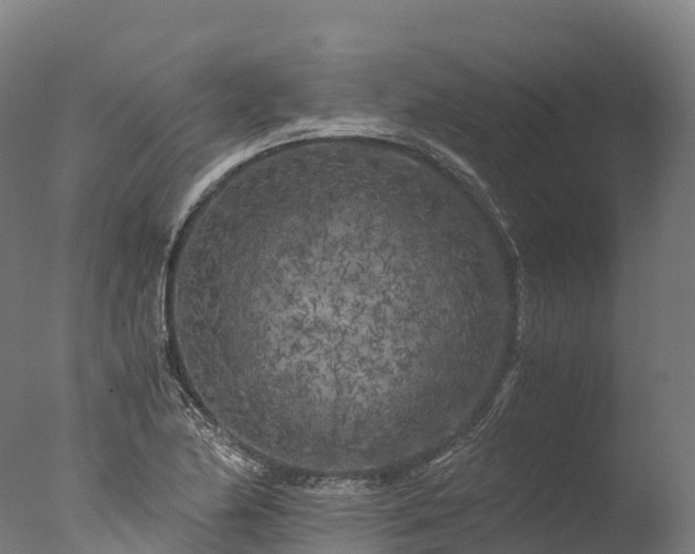 X0000076431174200610161145