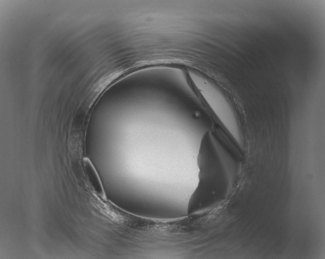 X0000076431177200610161145